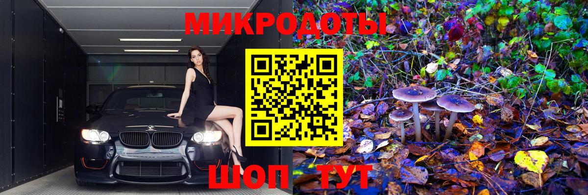 ЭКСТАЗИ Шали
